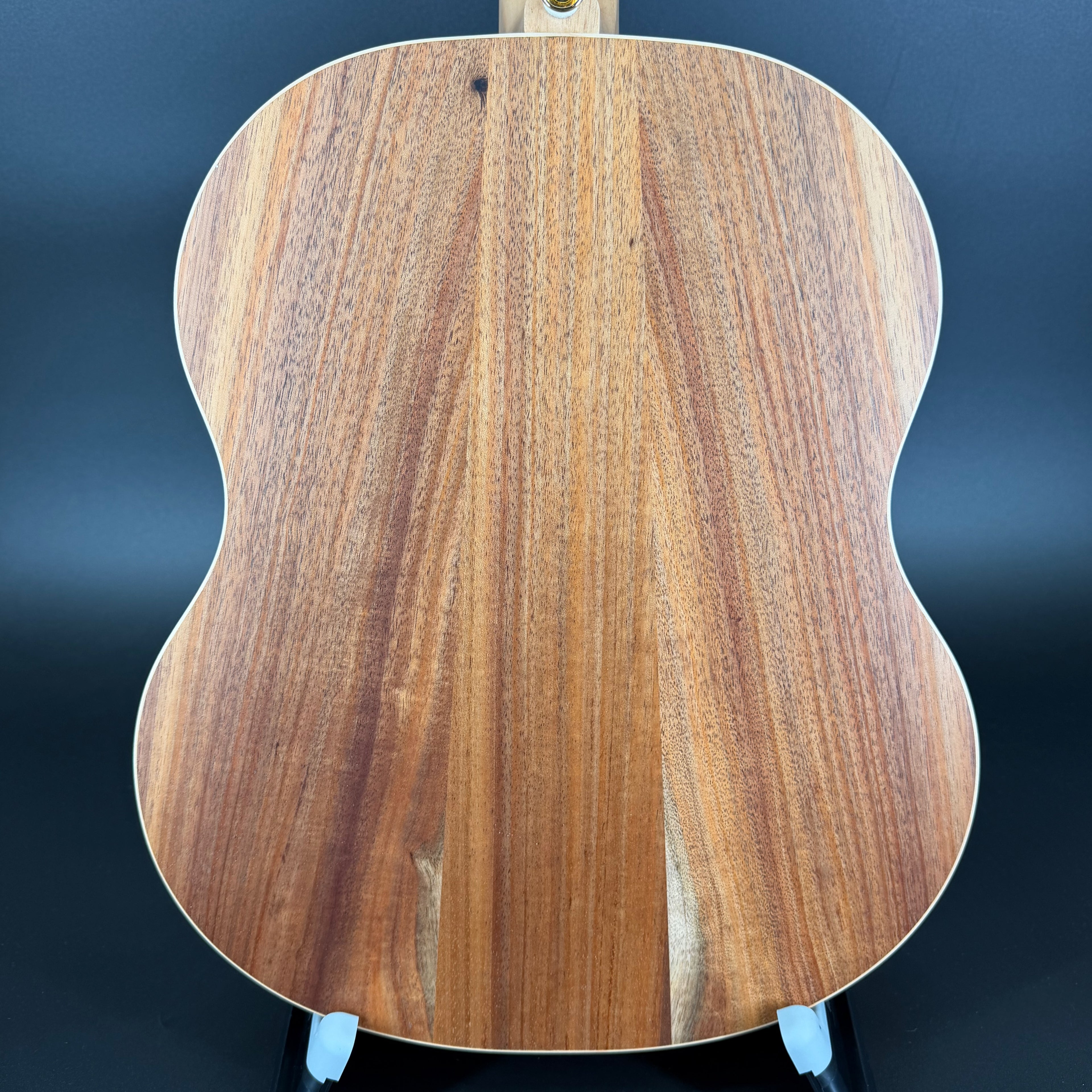 Cole Clark LL2E-BLBL All Blackwood