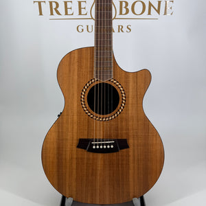 Cole Clark Recording Series Grand Auditorium SRAN3EC-BLBLR All Blackwood