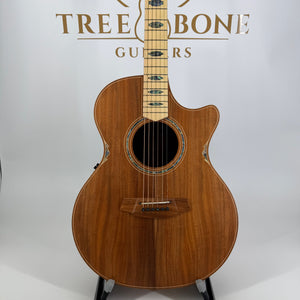 Cole Clark Grand Auditorium All Blackwood AN3EC-BLBLSB