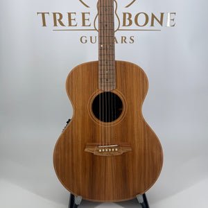Cole Clark Grand Auditorium All Blackwood AN2E-BLBL