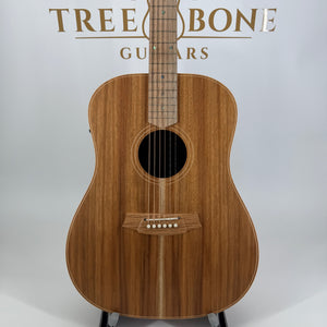 Cole Clark Dreadnought All Blackwood FL2E-BLBL
