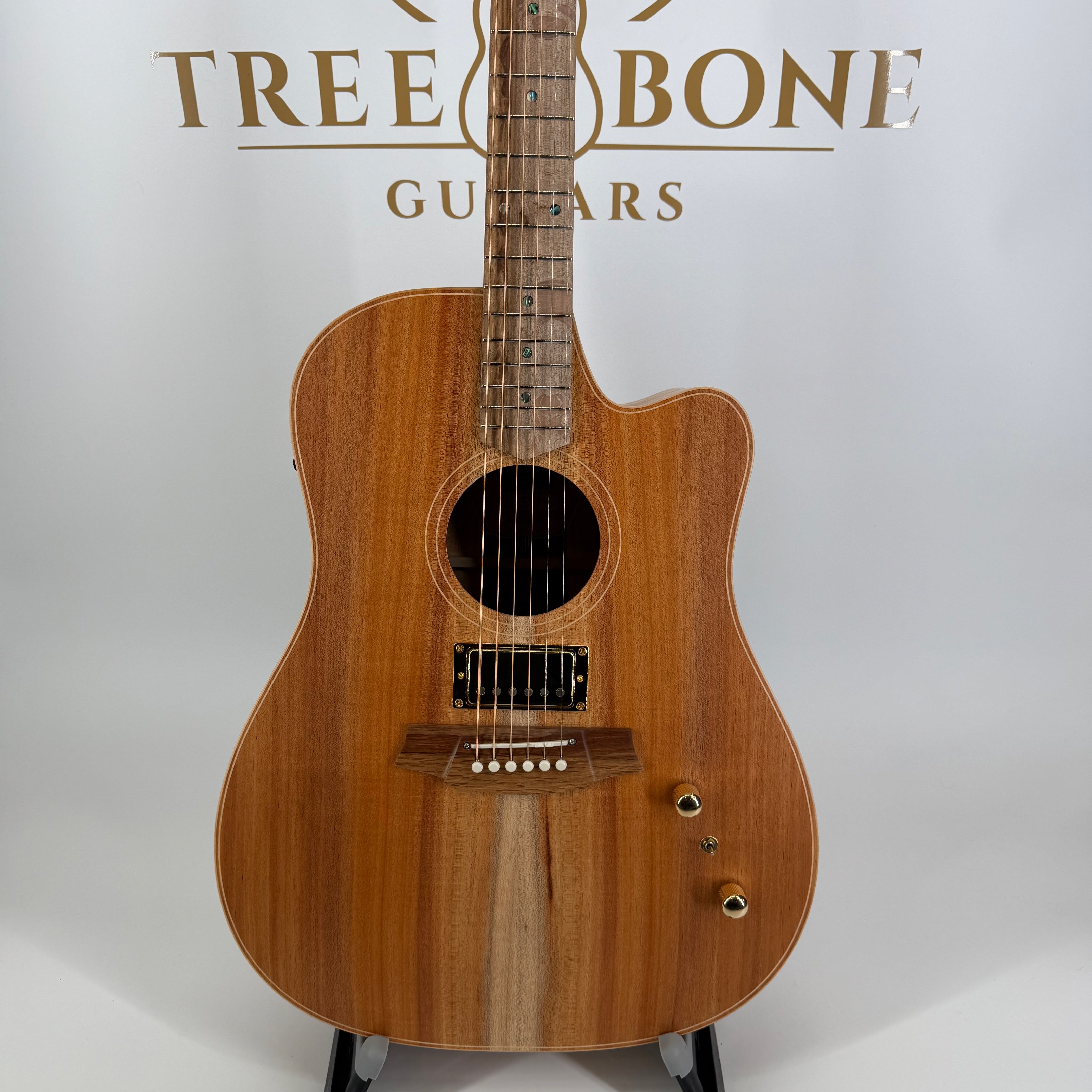 Cole Clark FL2EC-BLBL-HUM All Blackwood Dreadnought with Humbucker