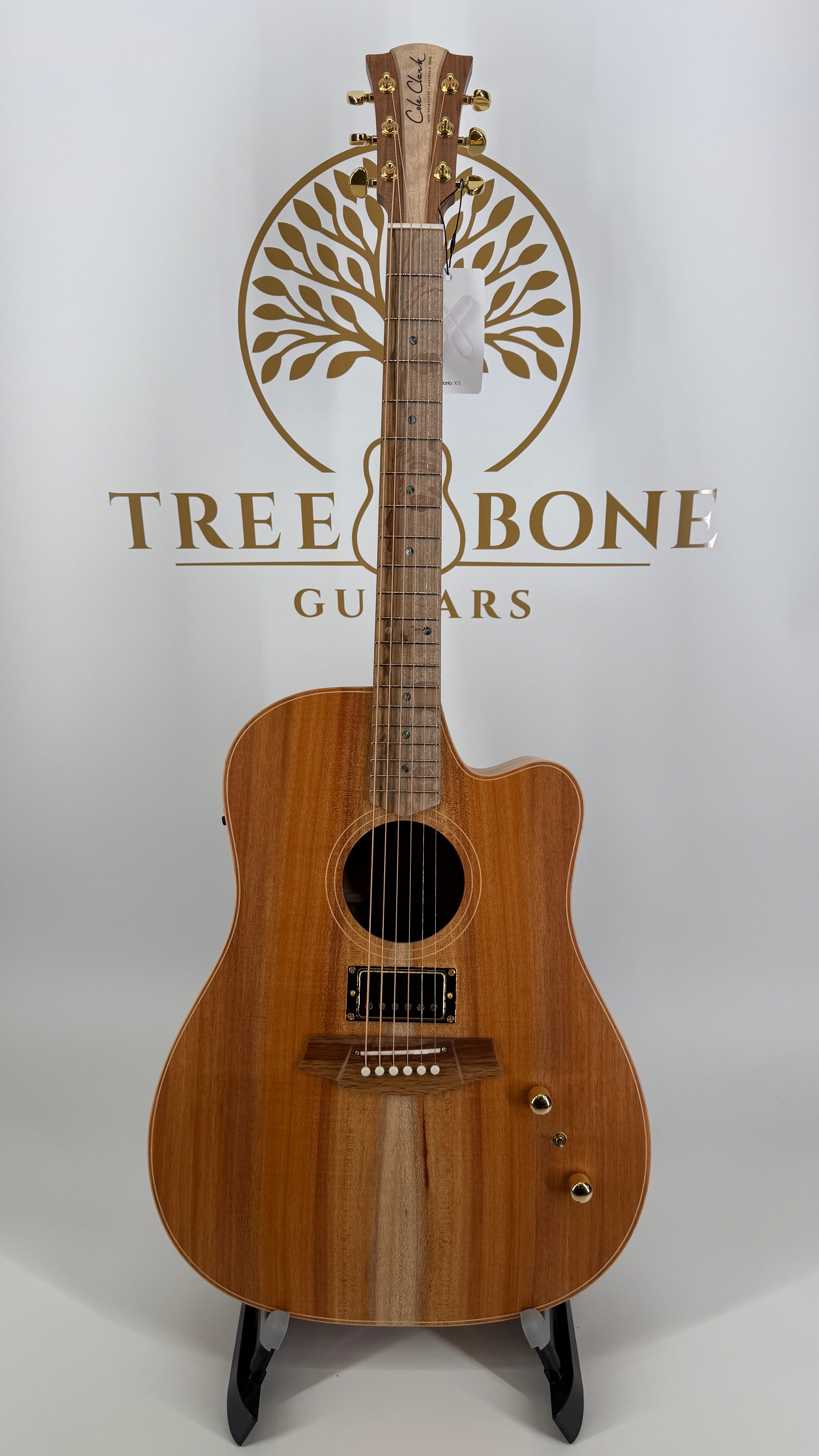 Cole Clark FL2EC-BLBL-HUM All Blackwood Dreadnought with Humbucker