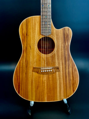 Cole Clark FL2EC-BLBL Dreadnought All Blackwood