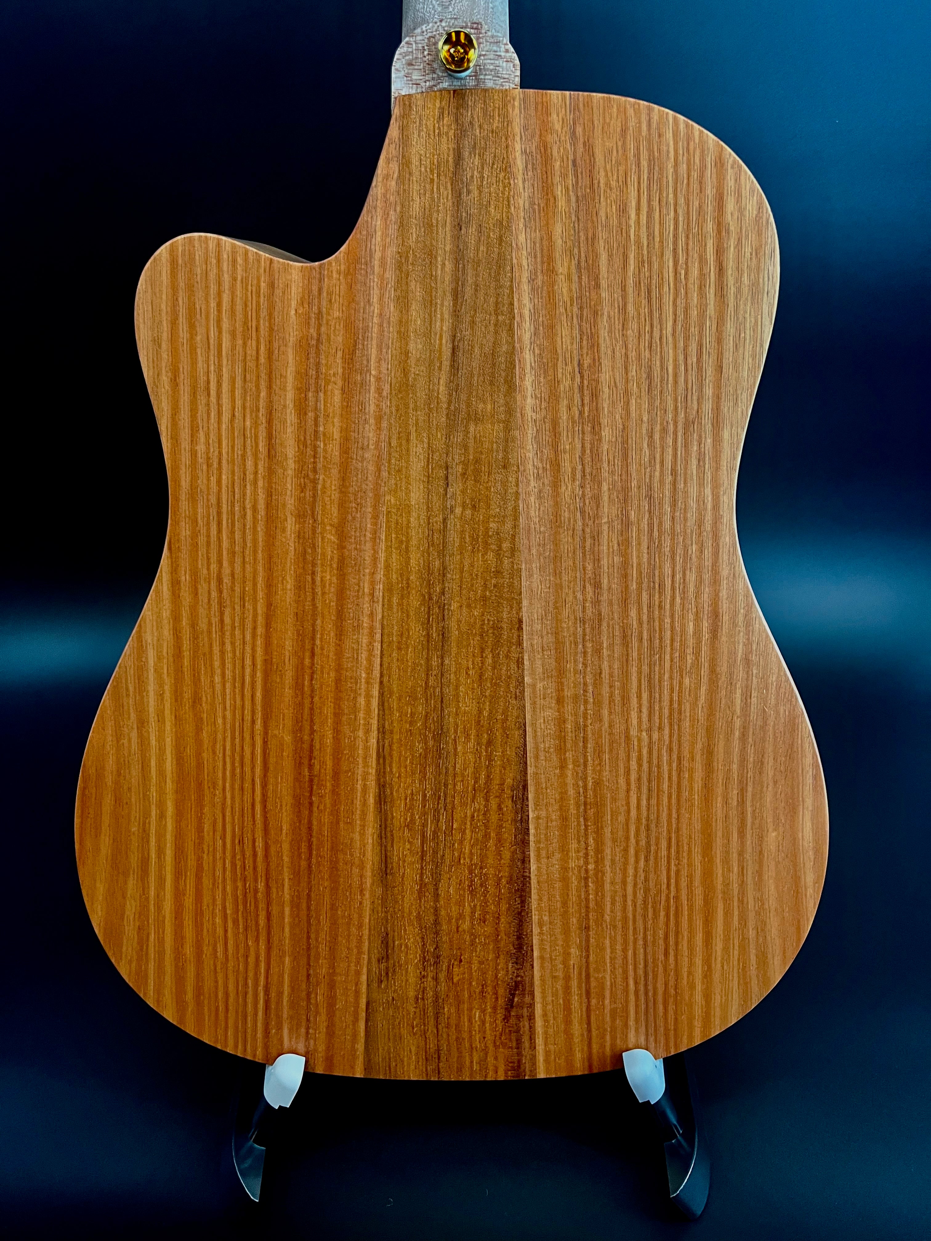 Cole Clark FL2EC-BLBL Dreadnought All Blackwood