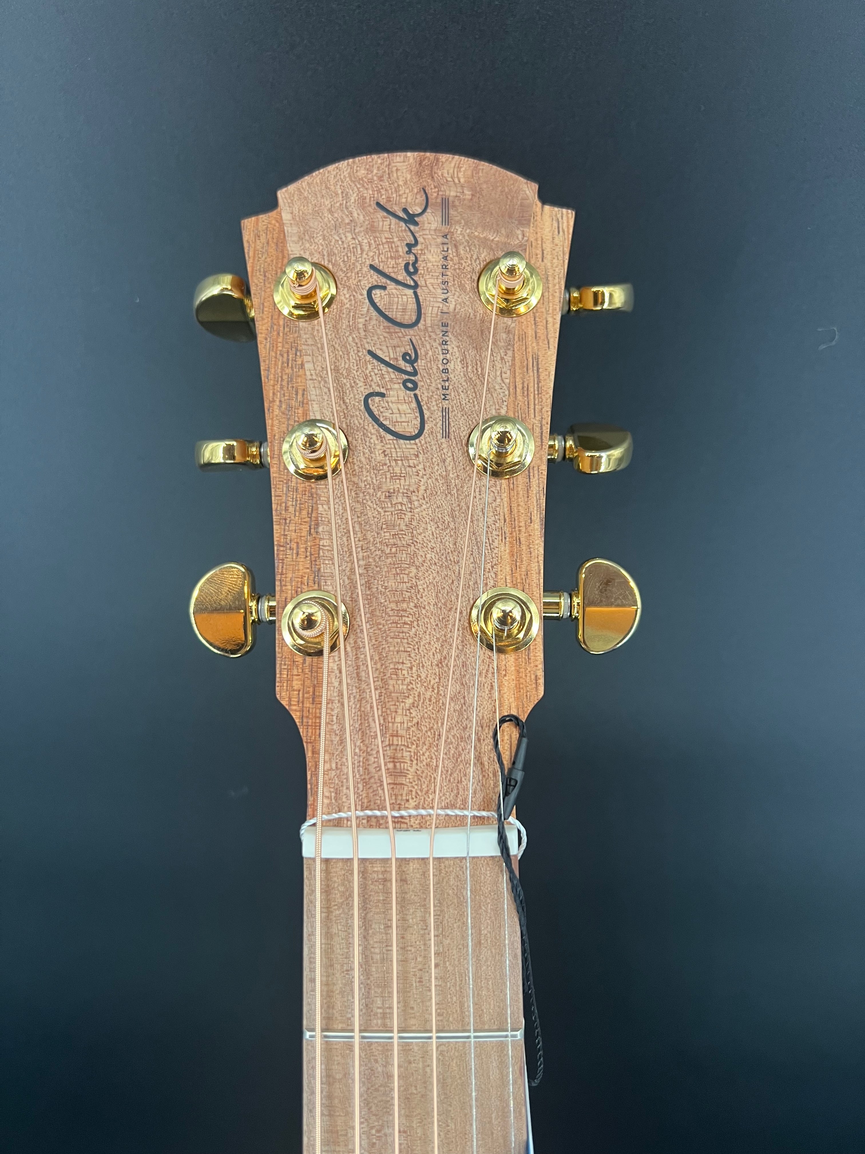 Cole Clark True Hybrid TL2EC-BLBL-HSS Thinline All Blackwood Humbucker ...