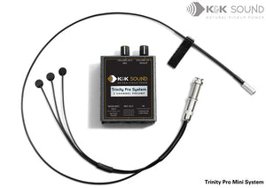 K&K Trinity Pro Mini System