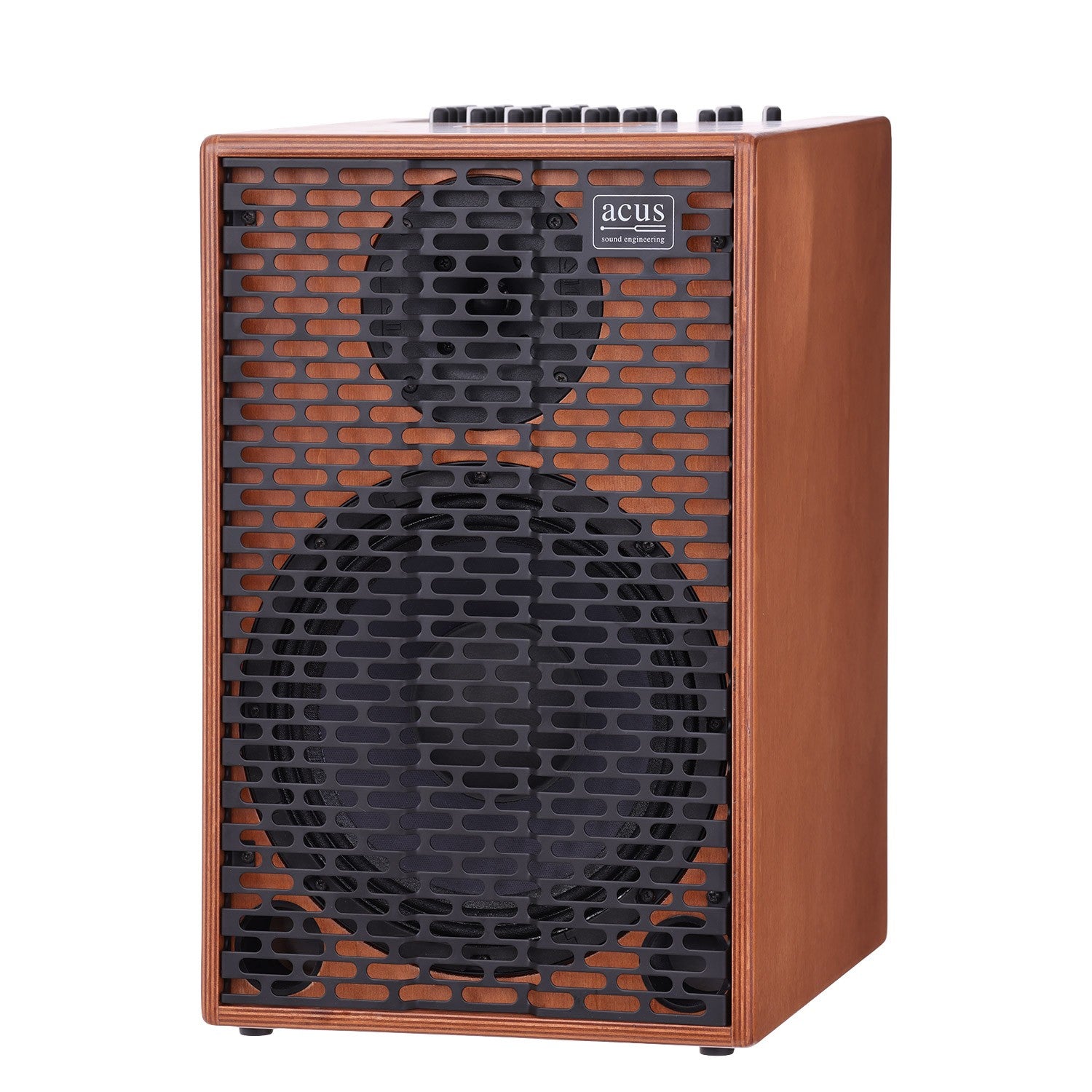 Acus 250W OneForStrings 10 Amplifier Ferdi Wood